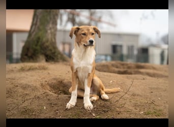 Barney wünscht sich seine Familie