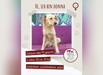 Donna sucht liebevolles Zuhause