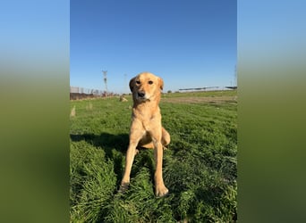 Donna sucht liebevolles Zuhause