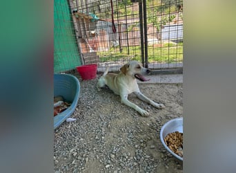 Zuhause verloren – Hoffnung gesucht: Argo