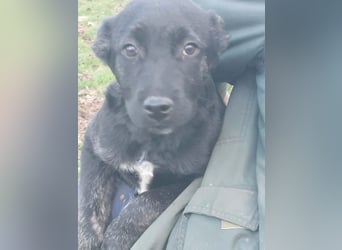 River hofft auf seine Chance im Leben