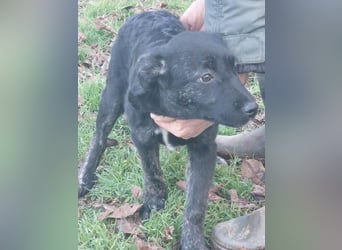 River hofft auf seine Chance im Leben