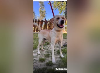 Zuhause verloren – Hoffnung gesucht: Argo