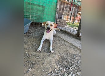 Zuhause verloren – Hoffnung gesucht: Argo