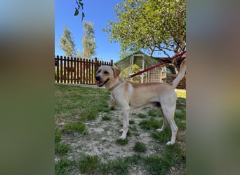 Zuhause verloren – Hoffnung gesucht: Argo