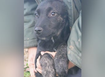 River hofft auf seine Chance im Leben