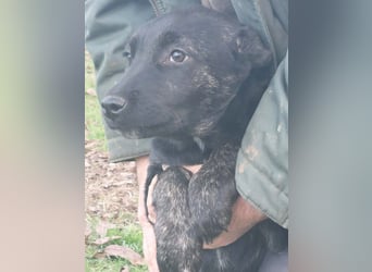 River hofft auf seine Chance im Leben