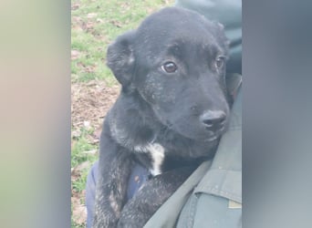 River hofft auf seine Chance im Leben