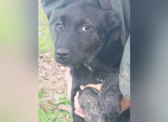 River hofft auf seine Chance im Leben