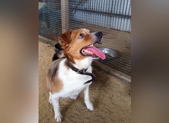 Mirko wünscht sich ein aktives Zuhause