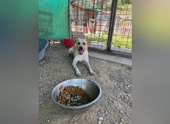 Zuhause verloren – Hoffnung gesucht: Argo