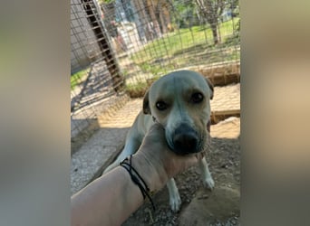 Zuhause verloren – Hoffnung gesucht: Argo