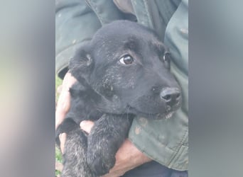 River hofft auf seine Chance im Leben