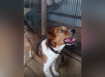 Mirko wünscht sich ein aktives Zuhause