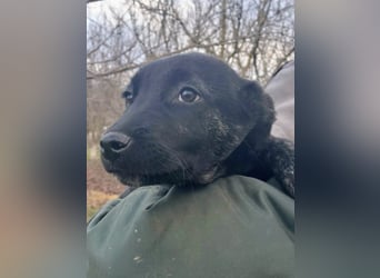 River hofft auf seine Chance im Leben