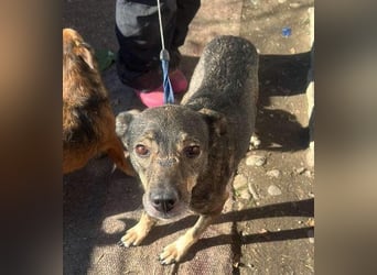 Gigi sucht ihre Herzensmenschen