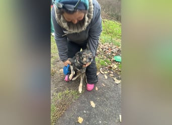 Gigi sucht ihre Herzensmenschen