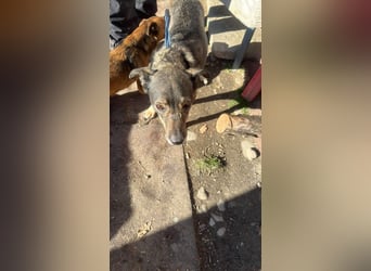 Gigi sucht ihre Herzensmenschen