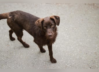 JIMMY