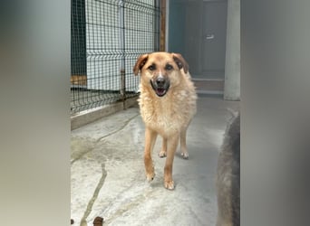 Gina wartet noch immer auf ihr Zuhause