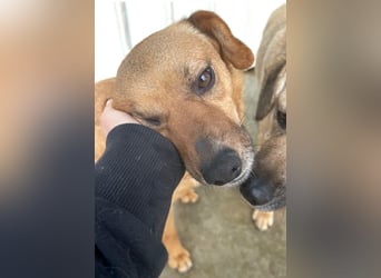 Elly - schüchternes Mädchen