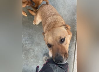 Elly - schüchternes Mädchen