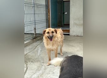 Gina wartet noch immer auf ihr Zuhause