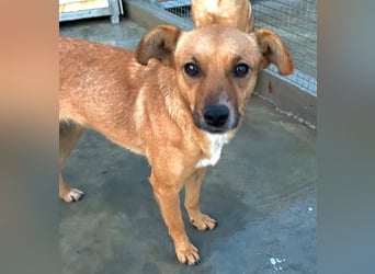 Elly - schüchternes Mädchen