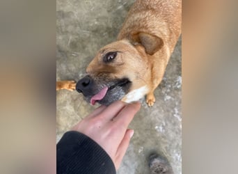 Elly - schüchternes Mädchen