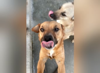 Elly - schüchternes Mädchen