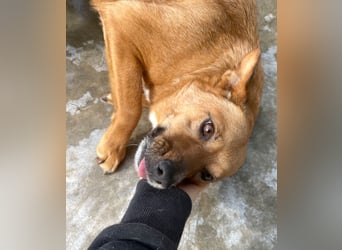 Elly - schüchternes Mädchen