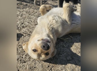 Gute-Laune Paket Maddie