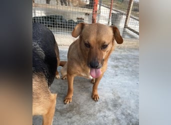 Elly - schüchternes Mädchen