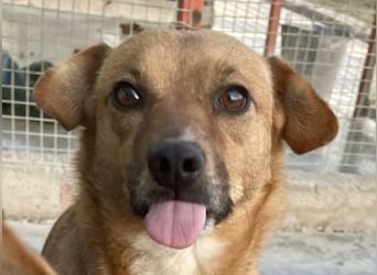 Elly - schüchternes Mädchen