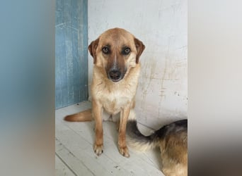 Gina wartet noch immer auf ihr Zuhause