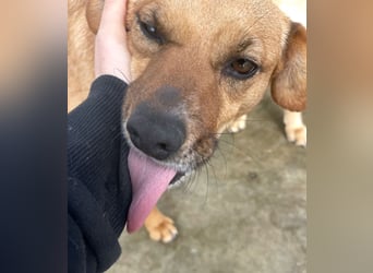 Elly - schüchternes Mädchen