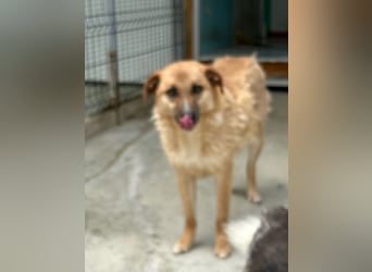 Gina wartet noch immer auf ihr Zuhause