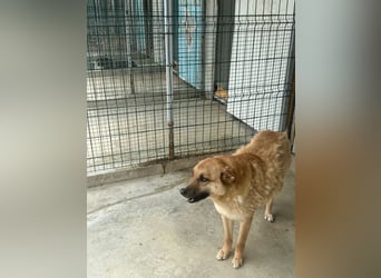 Gina wartet noch immer auf ihr Zuhause