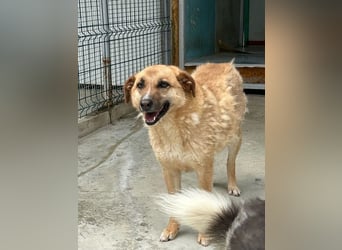 Gina wartet noch immer auf ihr Zuhause