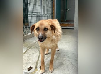 Gina wartet noch immer auf ihr Zuhause