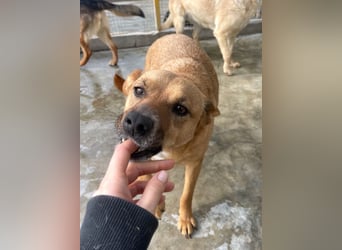 Elly - schüchternes Mädchen