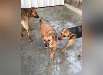 Elly - schüchternes Mädchen