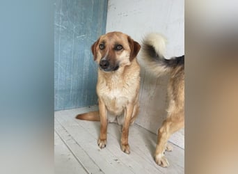 Gina wartet noch immer auf ihr Zuhause