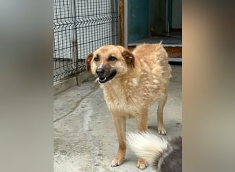 Gina wartet noch immer auf ihr Zuhause