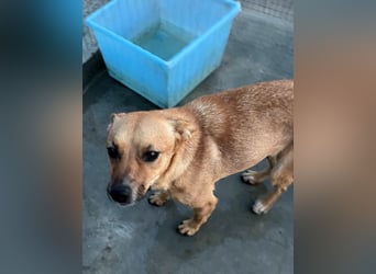 Elly - schüchternes Mädchen