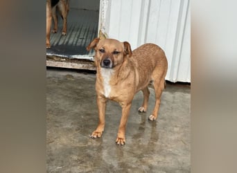 Elly - schüchternes Mädchen