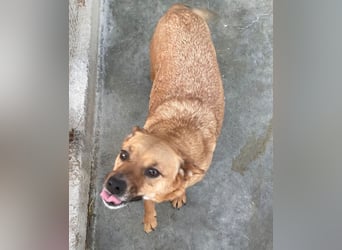 Elly - schüchternes Mädchen