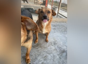 Elly - schüchternes Mädchen