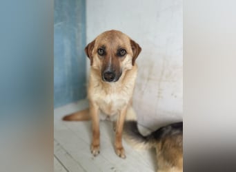 Gina wartet noch immer auf ihr Zuhause