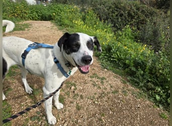 Diddo:  er hatte eine Familie